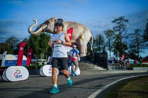 BIB: 
                            <button type="button" onclick="openModal(26541752)" class="btn btn-primary btn-sm float-right btn-popup" data-toggle="modal" data-target=".modal-high-quality">
                        <i class="fas fa-shopping-cart"></i> Add to Cart
                    </button>
                                            <button type="button" onclick="isThisMe(26541752, true)" class="btn btn-success btn-sm float-right btn-popup btn-isme hidden" data-toggle="tooltip" data-placement="bottom" title="นี่คือรูปของคุณใช่ไหม คลิกที่นี่เพื่อเอาเข้าอัลบั้ม">
                        <i class="fas fa-plus"></i> Add to album
                    </button>
                    <button type="button" onclick="isThisMe(26541752, false)" class="btn btn-warning btn-sm float-right btn-popup btn-isnotme hidden">
                        <i class="fas fa-ban"></i> Remove from album
                    </button>